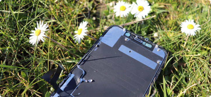 LCD-tilbagekøbsservice